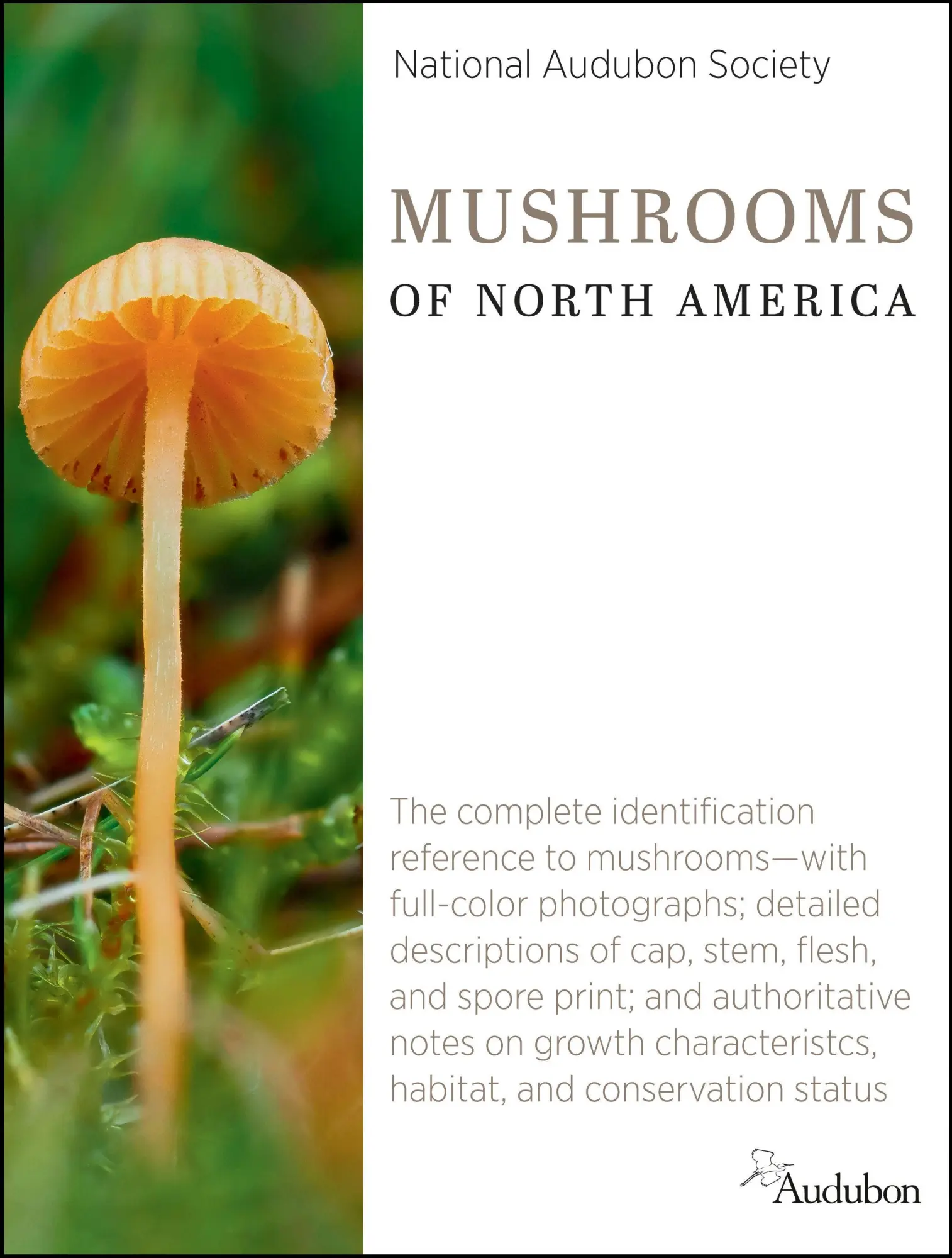 Cover: 9780593319987 | National Audubon Society Mushrooms of North America | Society | Buch