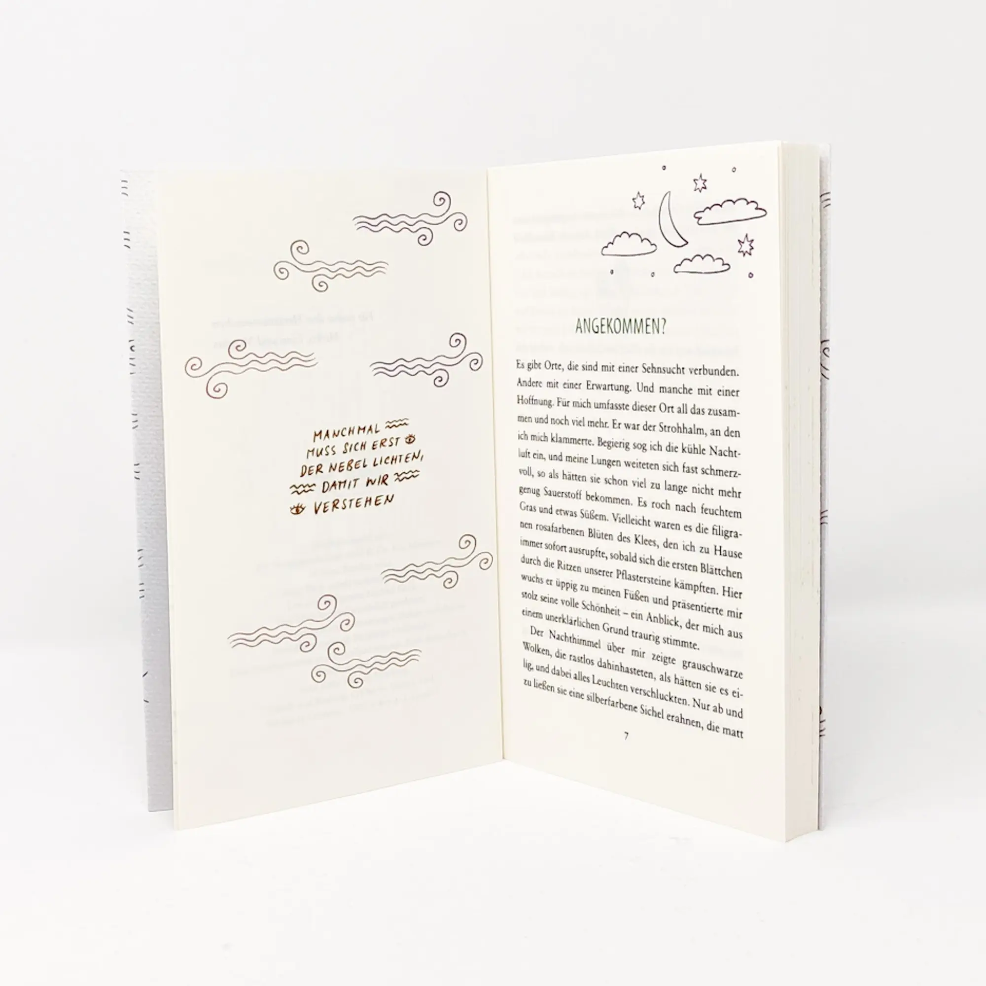 Bild: 9783423349987 | Die Berge, der Nebel, die Liebe und ich | Tessa Randau | Taschenbuch