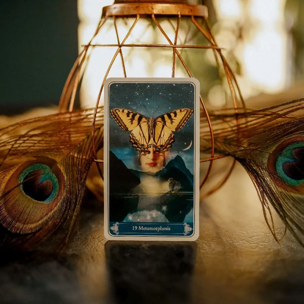 Bild: 4250375110088 | Christephania Kipper (english oracle), m. 1 Buch, m. 36 Beilage | Buch