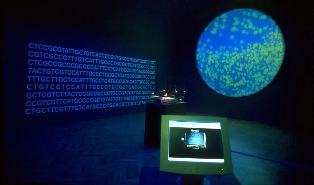 Cover: 9780295990088 | Bioart and the Vitality of Media | Robert E Mitchell | Taschenbuch