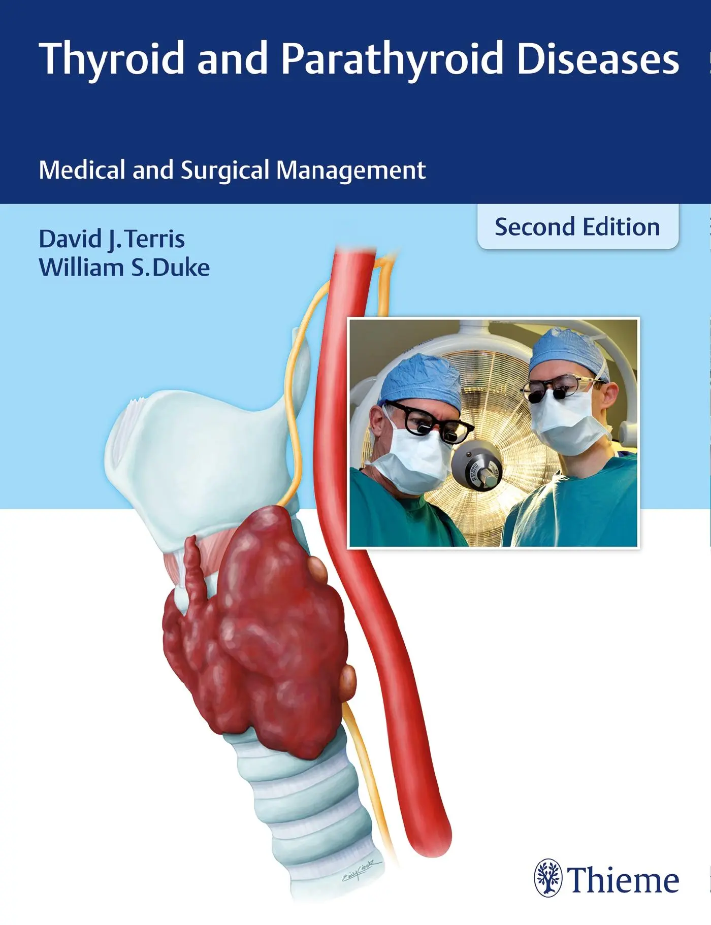 Cover: 9781626230088 | Thyroid and Parathyroid Diseases | Medical and Surgical Management