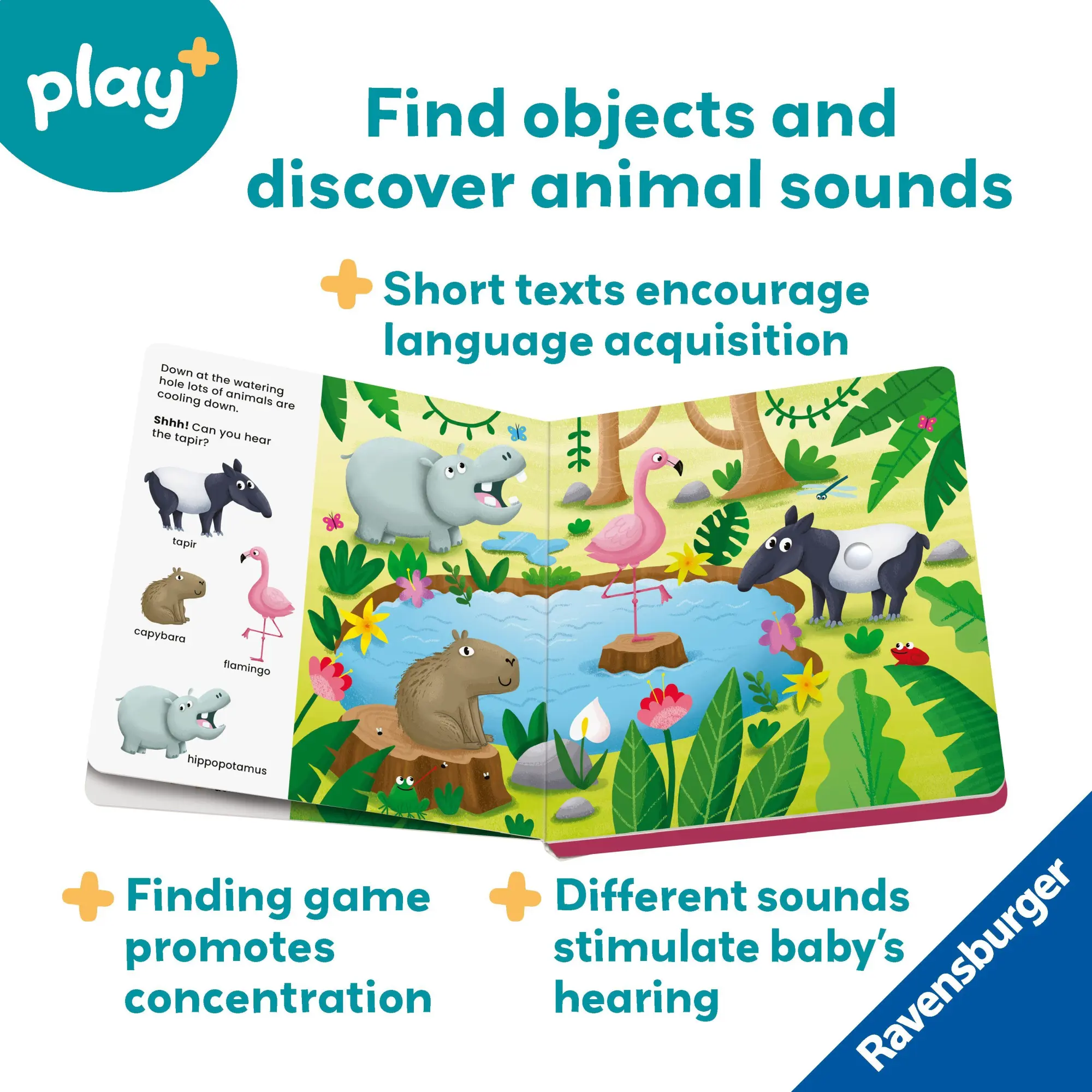 Bild: 9783380970088 | Play+ Shh ... who's there? Jungle Animals | Dynamo Limited | Buch
