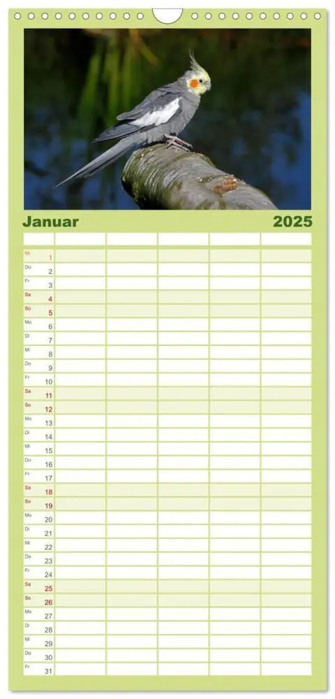 Bild: 9783457120088 | Familienplaner 2025 - Nymphensittiche mit 5 Spalten (Wandkalender,...