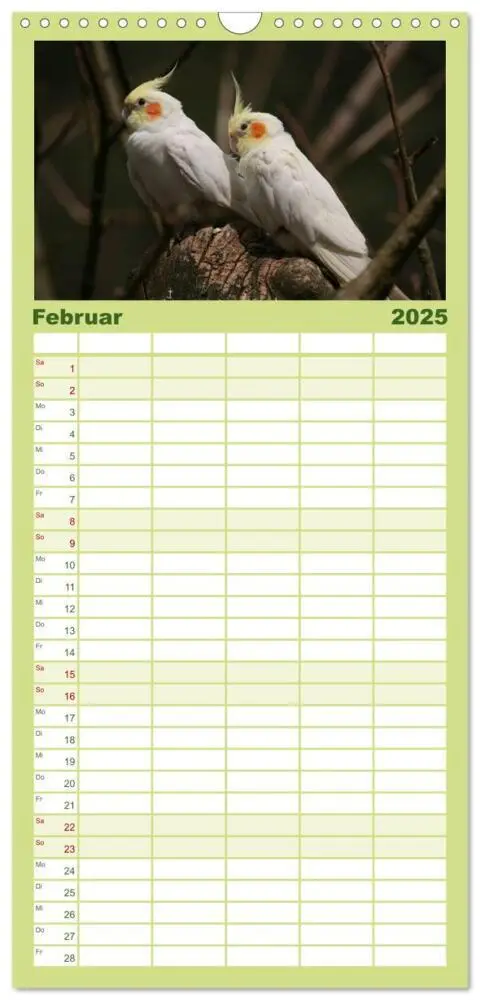Bild: 9783457120088 | Familienplaner 2025 - Nymphensittiche mit 5 Spalten (Wandkalender,...