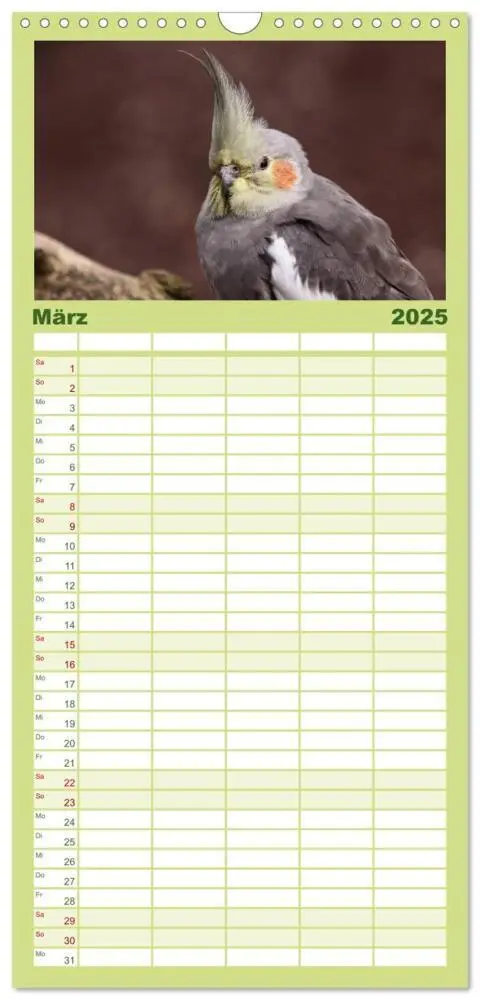 Bild: 9783457120088 | Familienplaner 2025 - Nymphensittiche mit 5 Spalten (Wandkalender,...