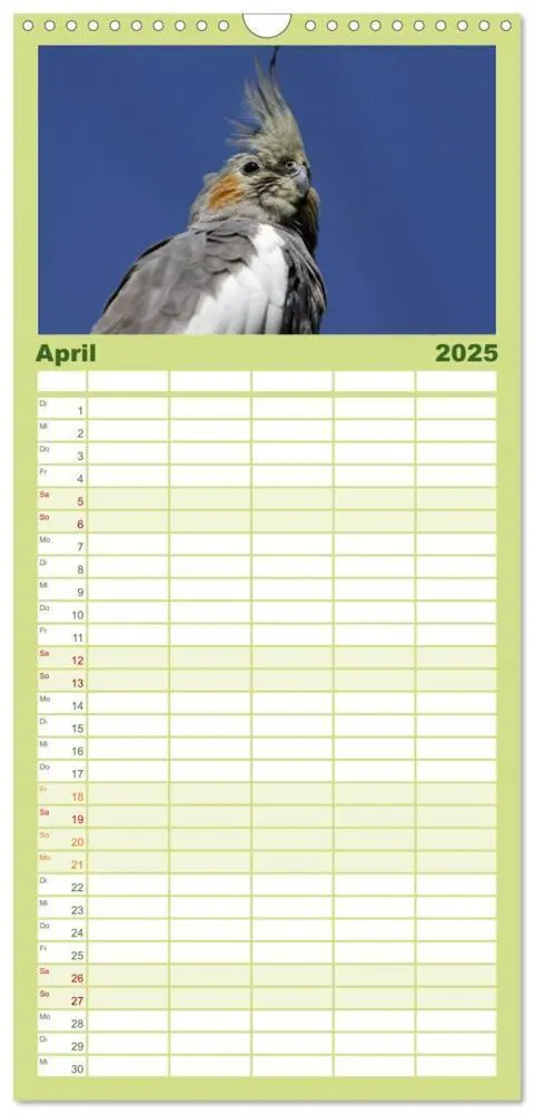 Bild: 9783457120088 | Familienplaner 2025 - Nymphensittiche mit 5 Spalten (Wandkalender,...