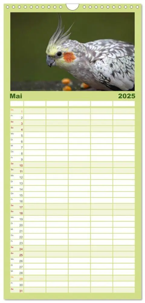 Bild: 9783457120088 | Familienplaner 2025 - Nymphensittiche mit 5 Spalten (Wandkalender,...
