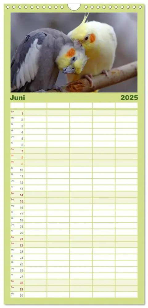 Bild: 9783457120088 | Familienplaner 2025 - Nymphensittiche mit 5 Spalten (Wandkalender,...