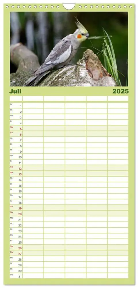 Bild: 9783457120088 | Familienplaner 2025 - Nymphensittiche mit 5 Spalten (Wandkalender,...