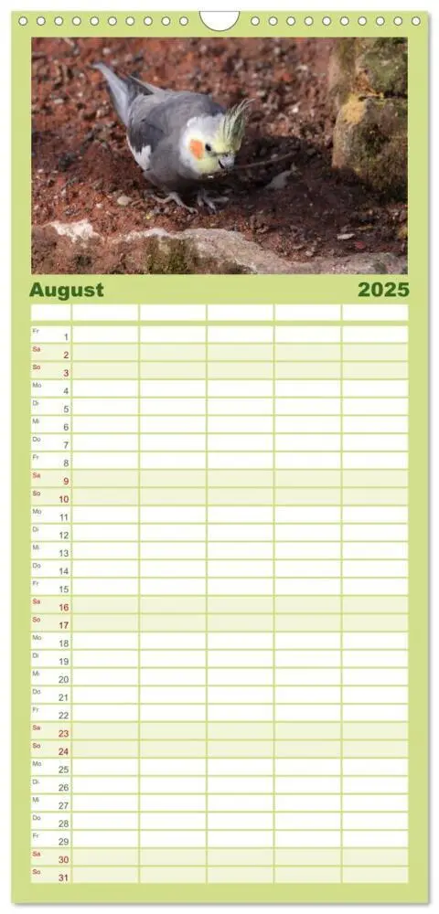 Bild: 9783457120088 | Familienplaner 2025 - Nymphensittiche mit 5 Spalten (Wandkalender,...