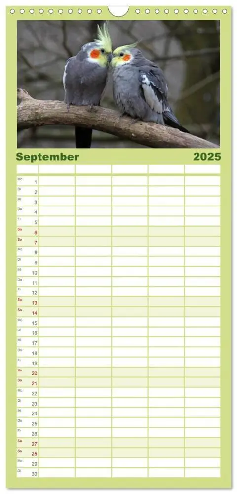 Bild: 9783457120088 | Familienplaner 2025 - Nymphensittiche mit 5 Spalten (Wandkalender,...