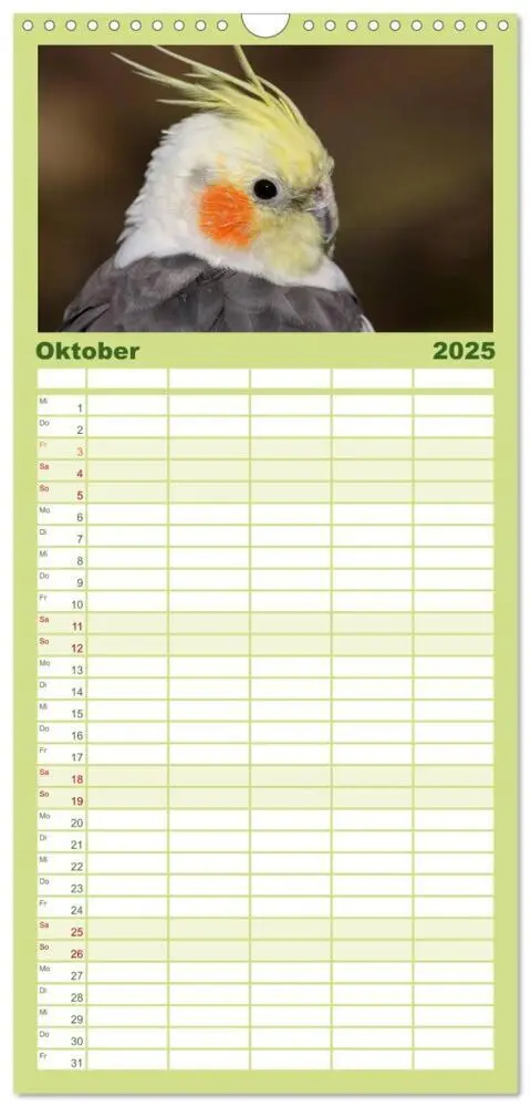 Bild: 9783457120088 | Familienplaner 2025 - Nymphensittiche mit 5 Spalten (Wandkalender,...