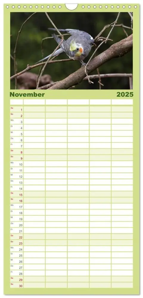 Bild: 9783457120088 | Familienplaner 2025 - Nymphensittiche mit 5 Spalten (Wandkalender,...