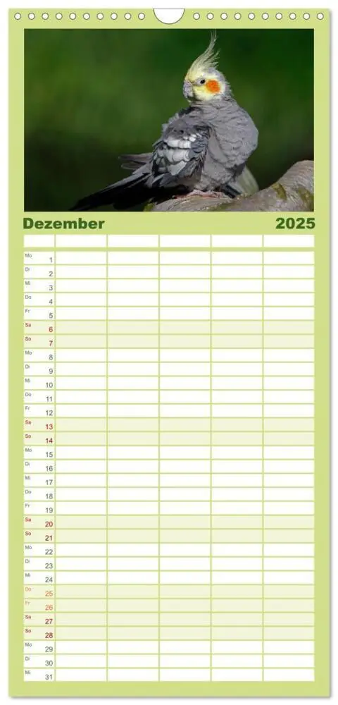 Bild: 9783457120088 | Familienplaner 2025 - Nymphensittiche mit 5 Spalten (Wandkalender,...