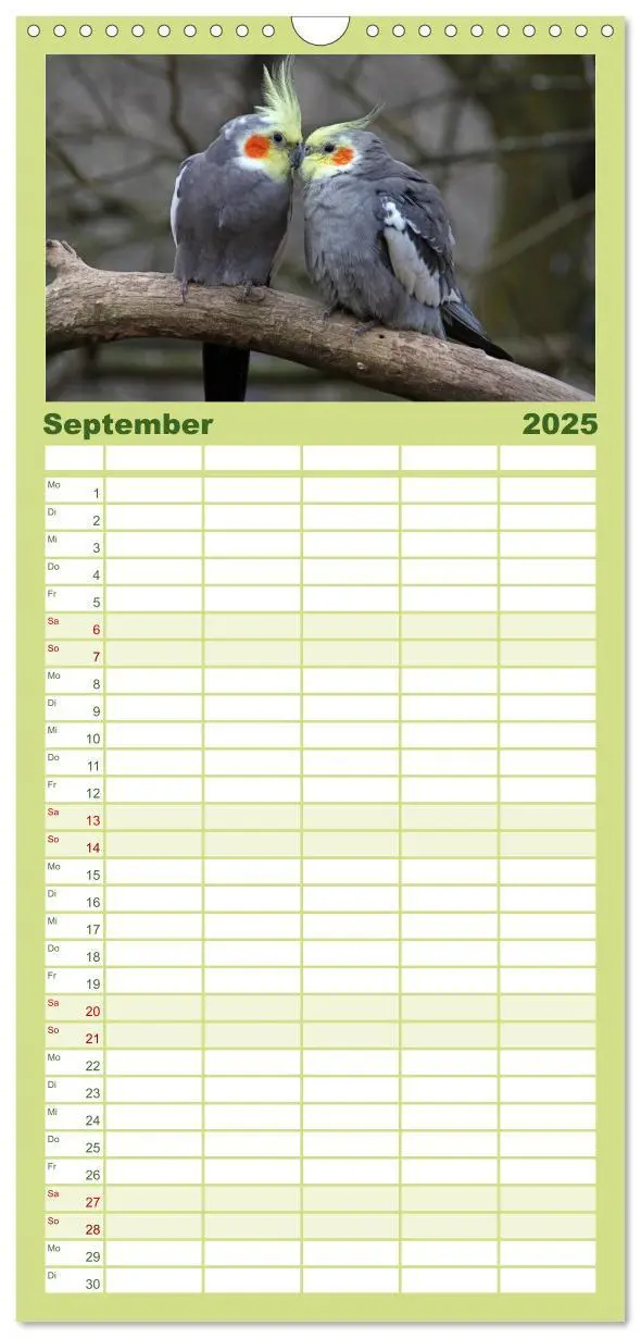 Bild: 9783457120088 | Familienplaner 2025 - Nymphensittiche mit 5 Spalten (Wandkalender,...