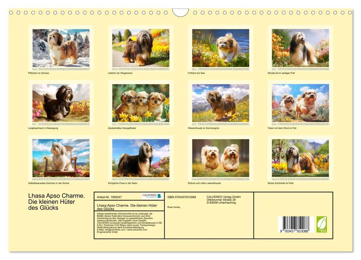 Bild: 9783457810088 | Lhasa Apso Charme. Die kleinen Hüter des Glücks (Wandkalender 2026...