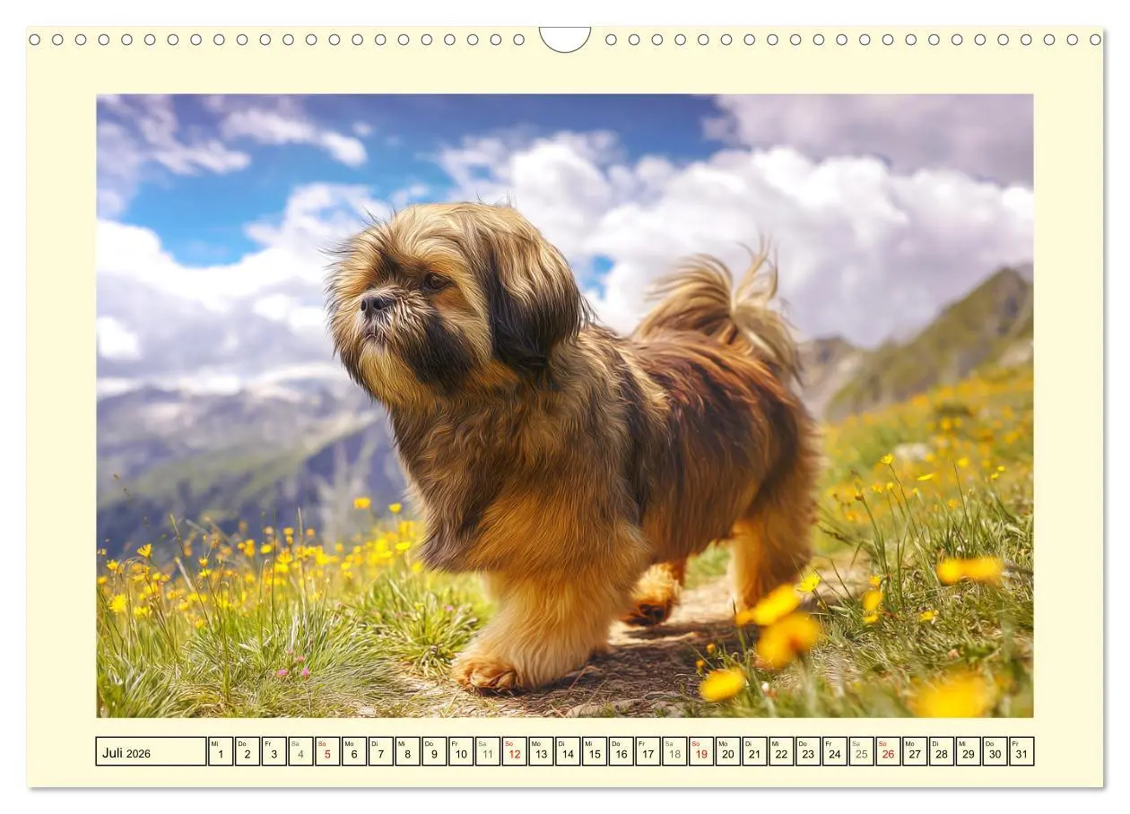 Bild: 9783457810088 | Lhasa Apso Charme. Die kleinen Hüter des Glücks (Wandkalender 2026...