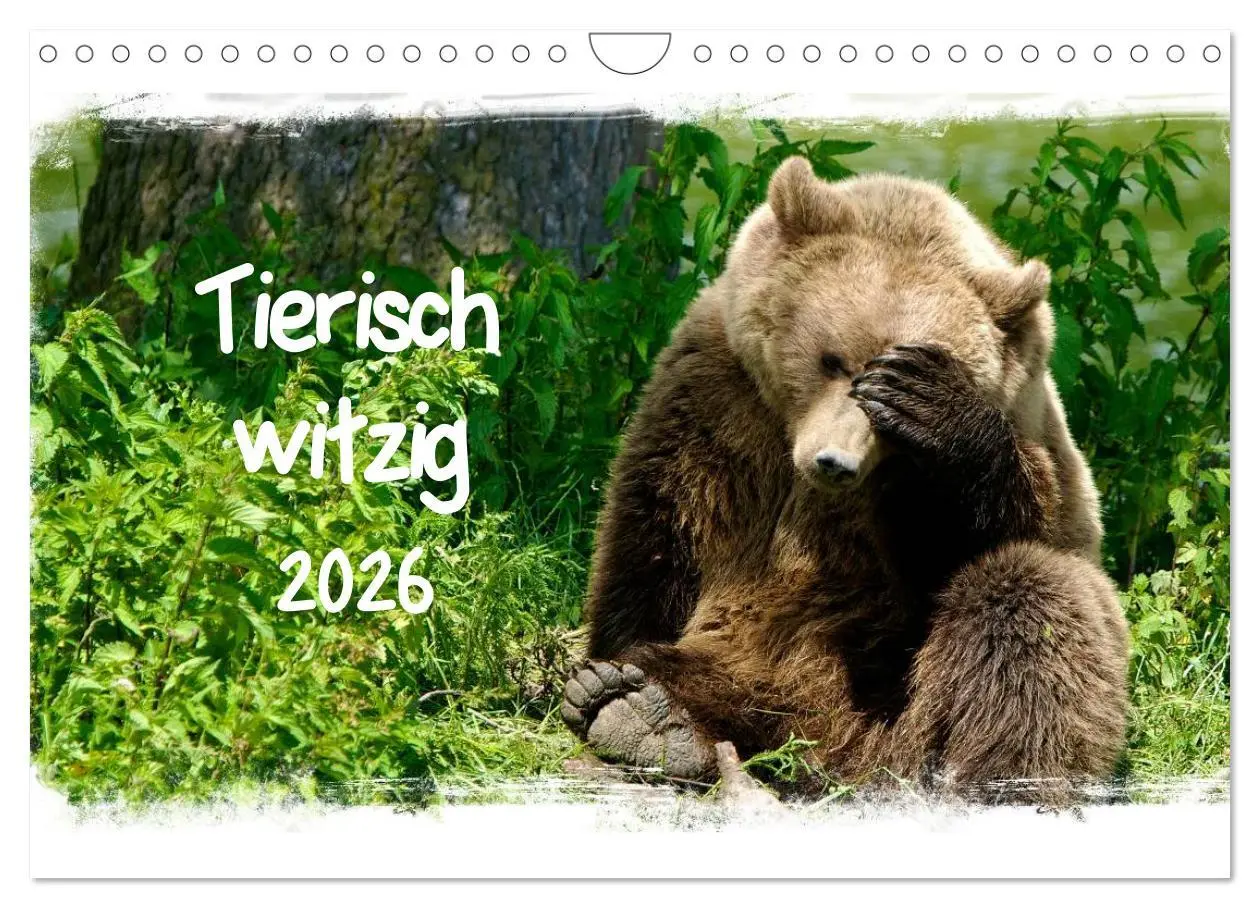 Cover: 9783516210088 | Tierisch witzig (Wandkalender 2026 DIN A4 quer), CALVENDO...