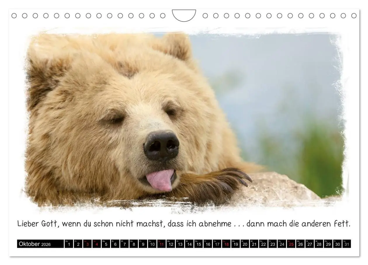Bild: 9783516210088 | Tierisch witzig (Wandkalender 2026 DIN A4 quer), CALVENDO...