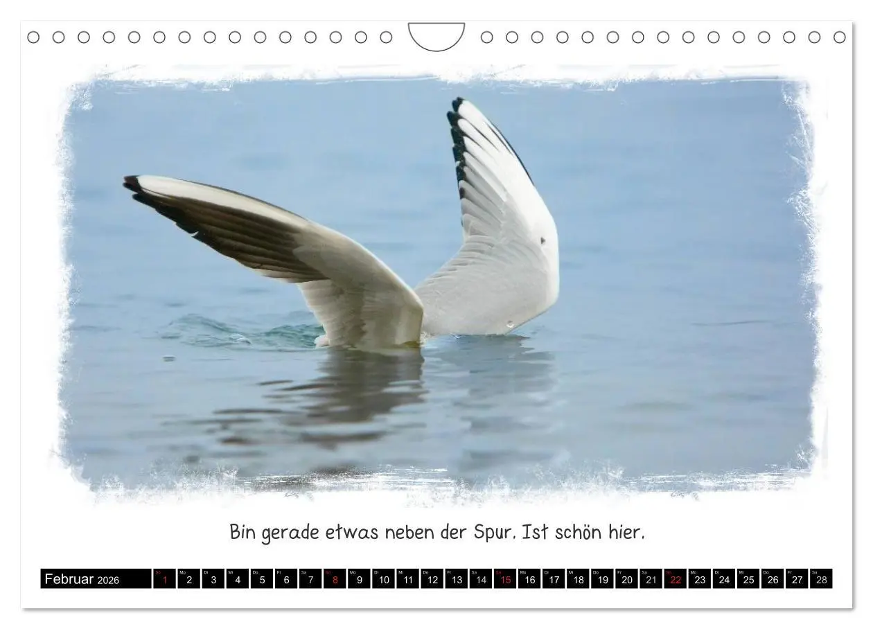 Bild: 9783516210088 | Tierisch witzig (Wandkalender 2026 DIN A4 quer), CALVENDO...