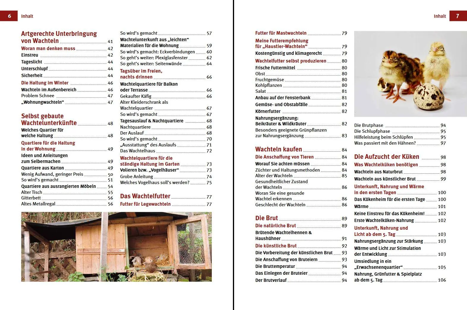 Bild: 9783702020088 | Wachteln | Artgerechte Hobbyhaltung in Garten und Wohnung | Hasskerl