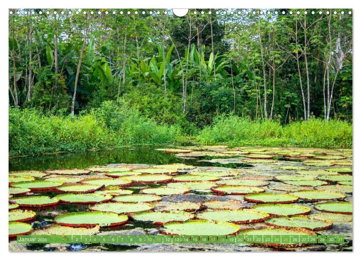 Bild: 9783457280188 | Der Amazonas: von den Anden zum Atlantik (Wandkalender 2026 DIN A3...