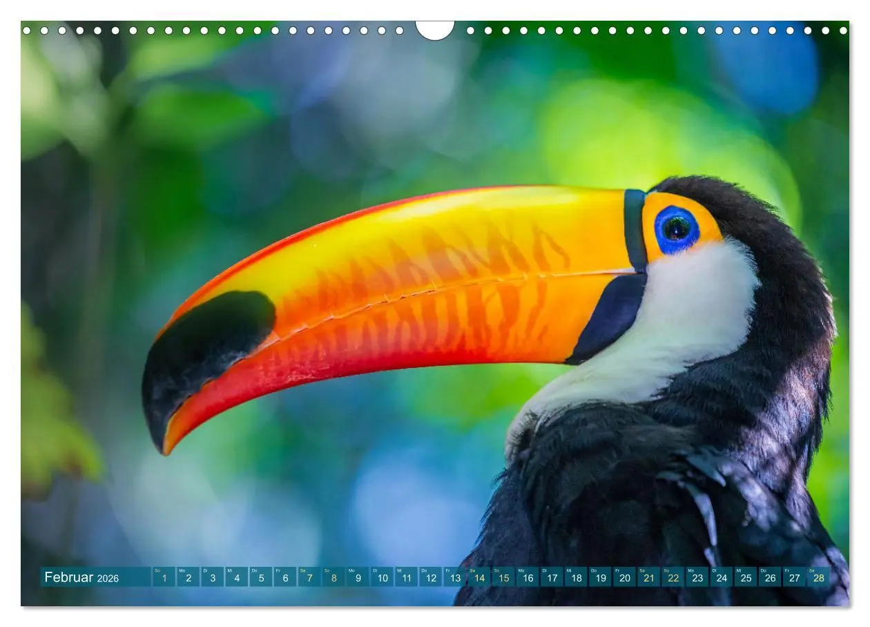 Bild: 9783457280188 | Der Amazonas: von den Anden zum Atlantik (Wandkalender 2026 DIN A3...