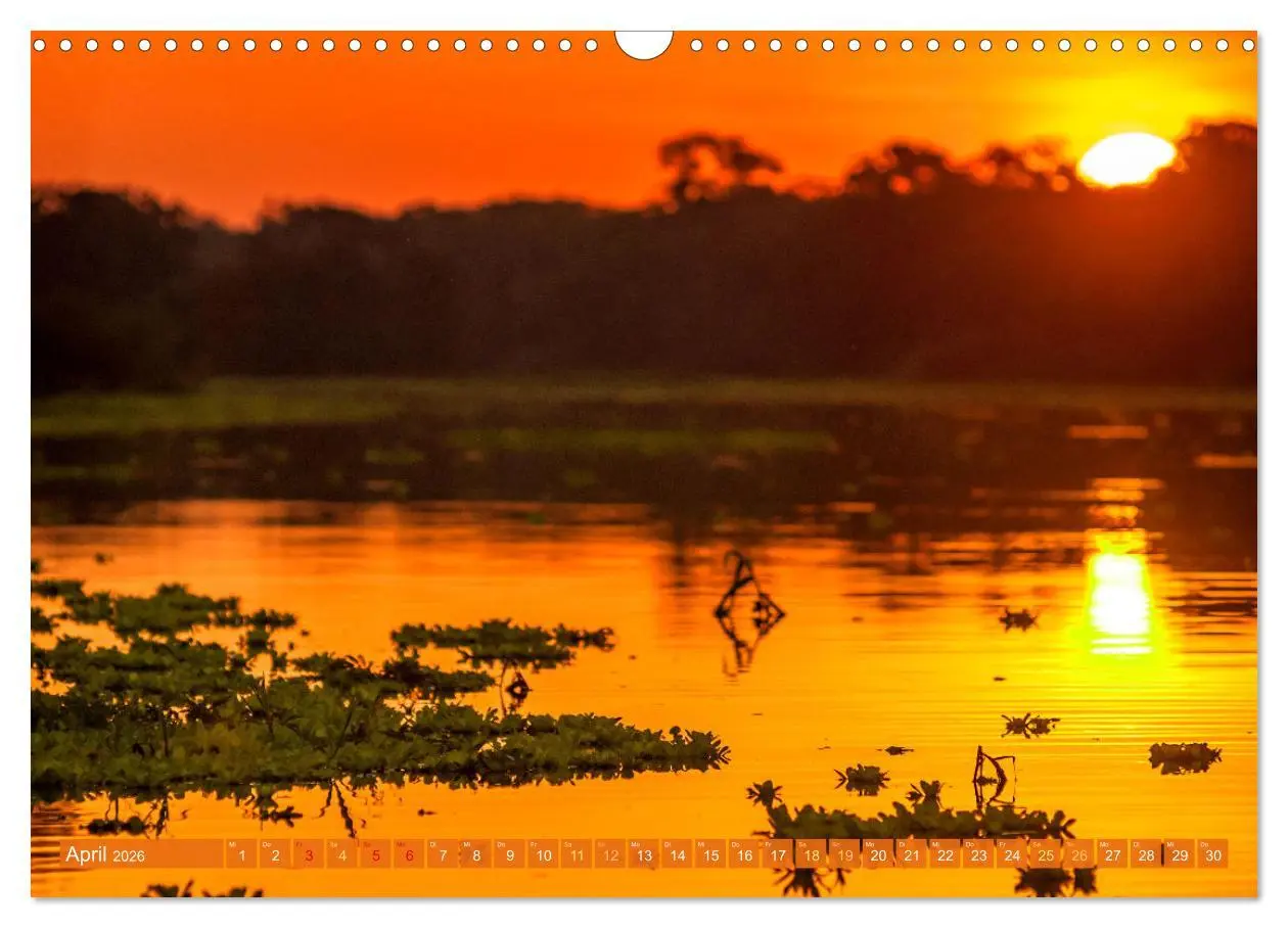 Bild: 9783457280188 | Der Amazonas: von den Anden zum Atlantik (Wandkalender 2026 DIN A3...