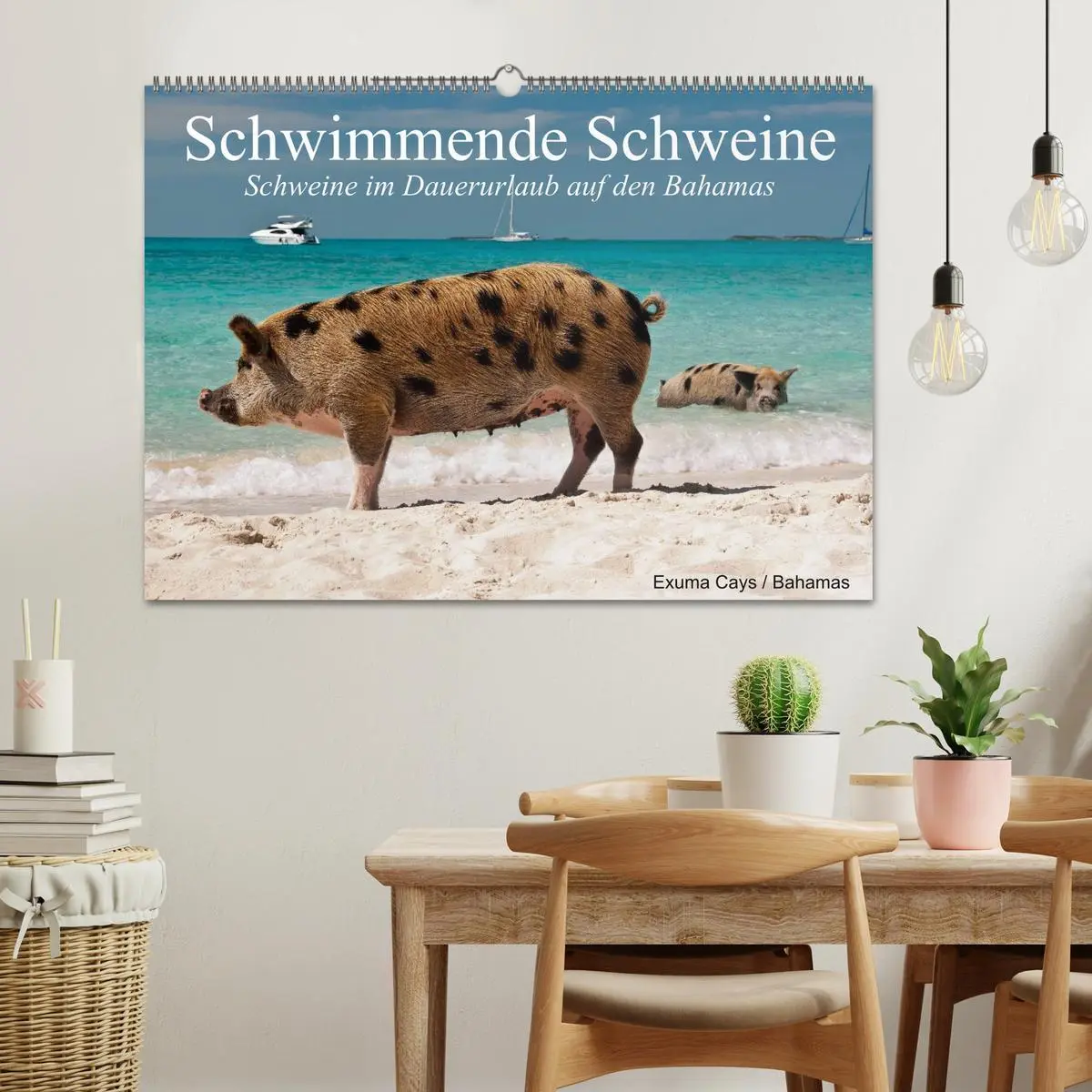 Bild: 9783457970188 | Schwimmende Schweine (Wandkalender 2026 DIN A2 quer), CALVENDO...