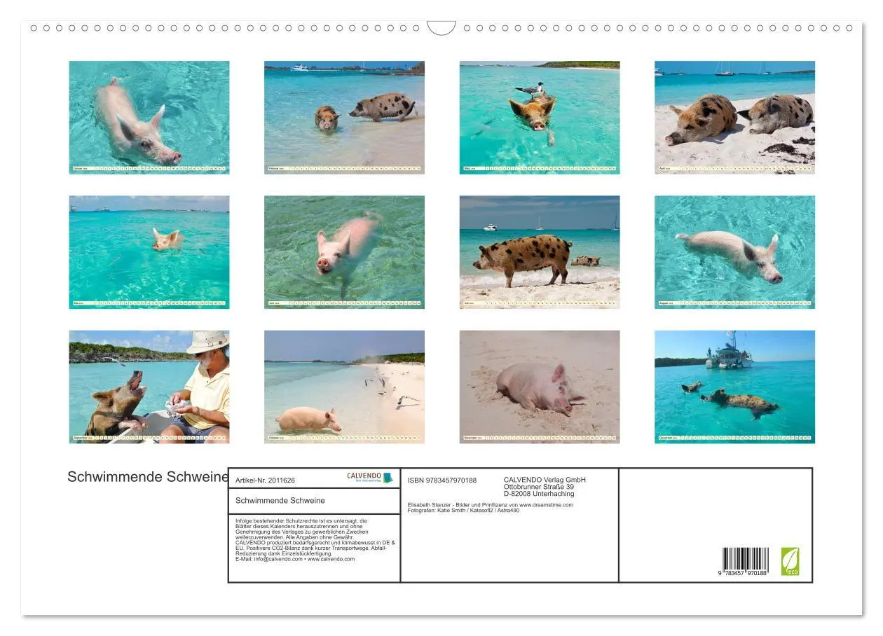 Bild: 9783457970188 | Schwimmende Schweine (Wandkalender 2026 DIN A2 quer), CALVENDO...
