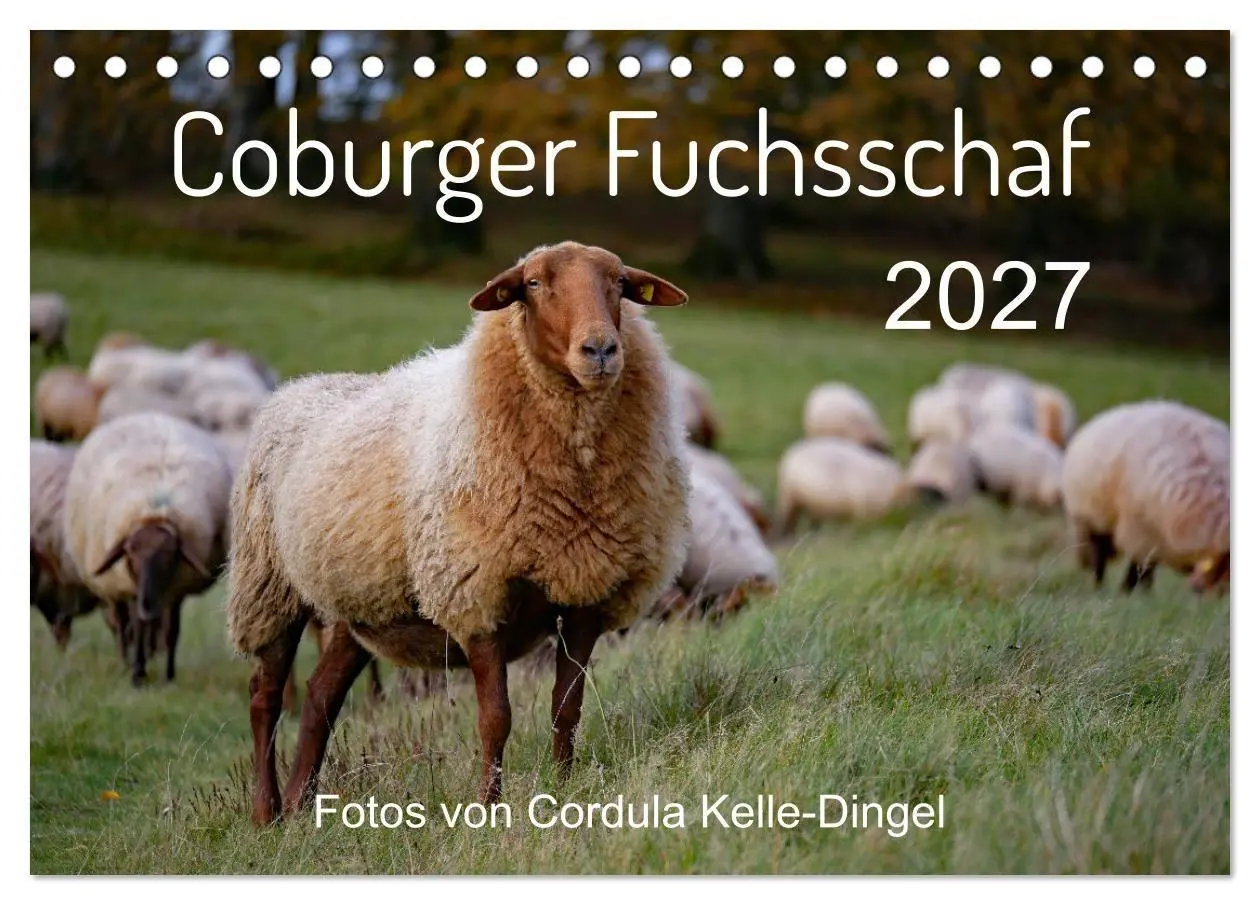Cover: 9783569600188 | Coburger Fuchsschaf (Tischkalender 2027 DIN A5 quer), CALVENDO...