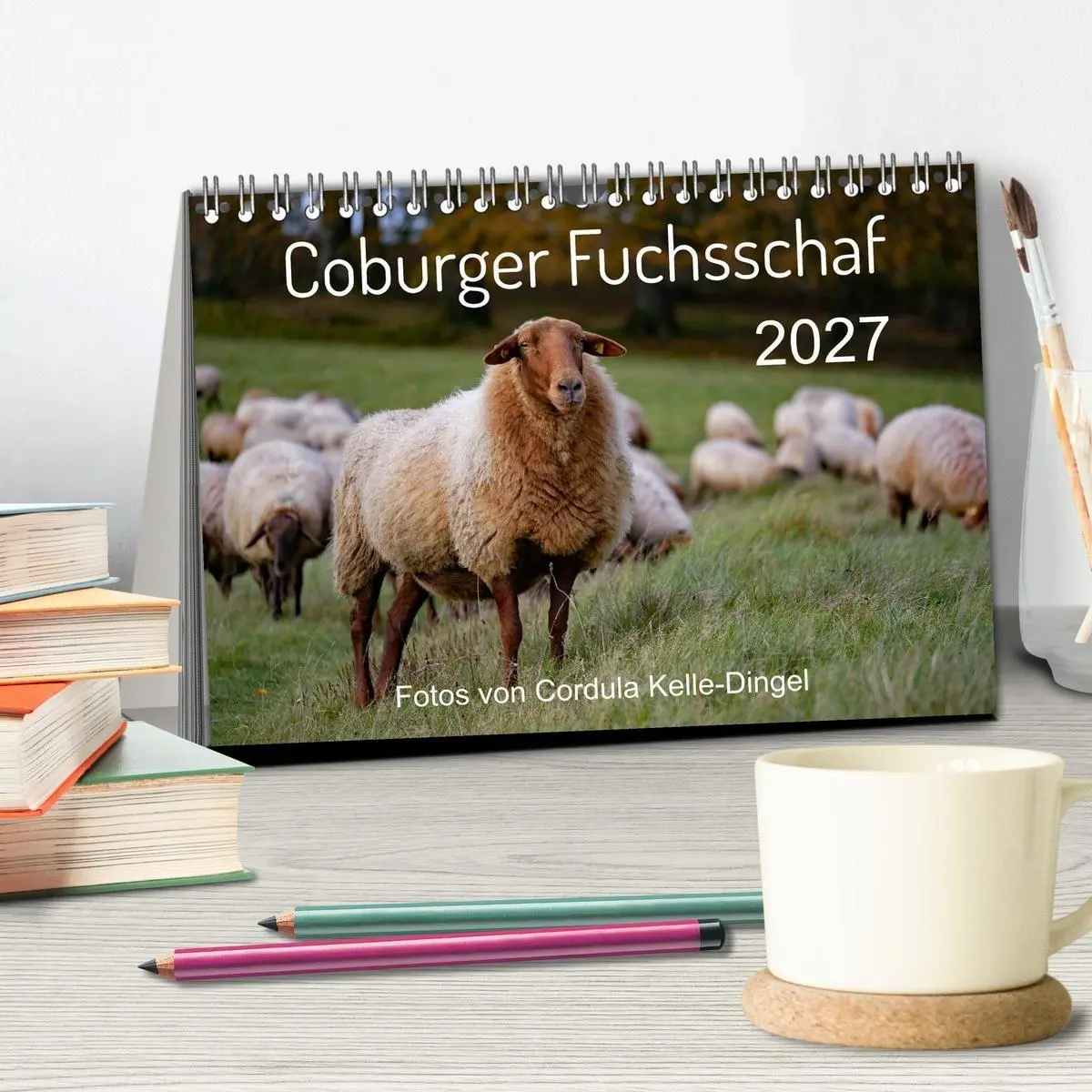 Bild: 9783569600188 | Coburger Fuchsschaf (Tischkalender 2027 DIN A5 quer), CALVENDO...