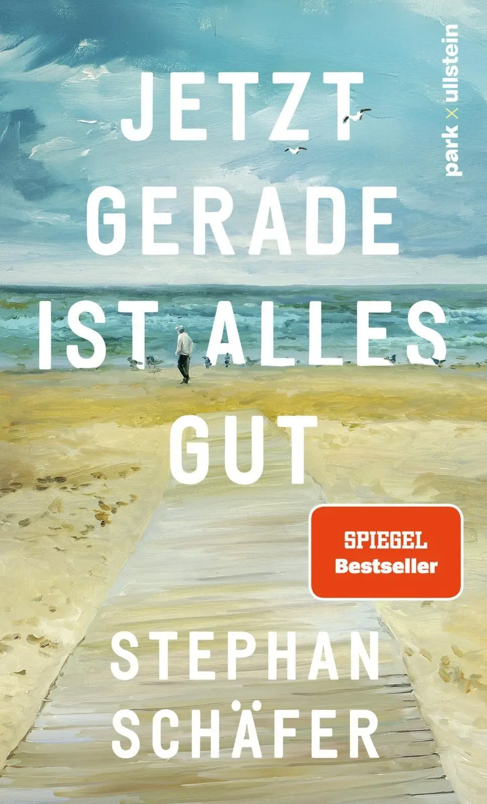 Cover: 9783988160188 | Jetzt gerade ist alles gut | Stephan Schäfer | Buch | 176 S. | Deutsch