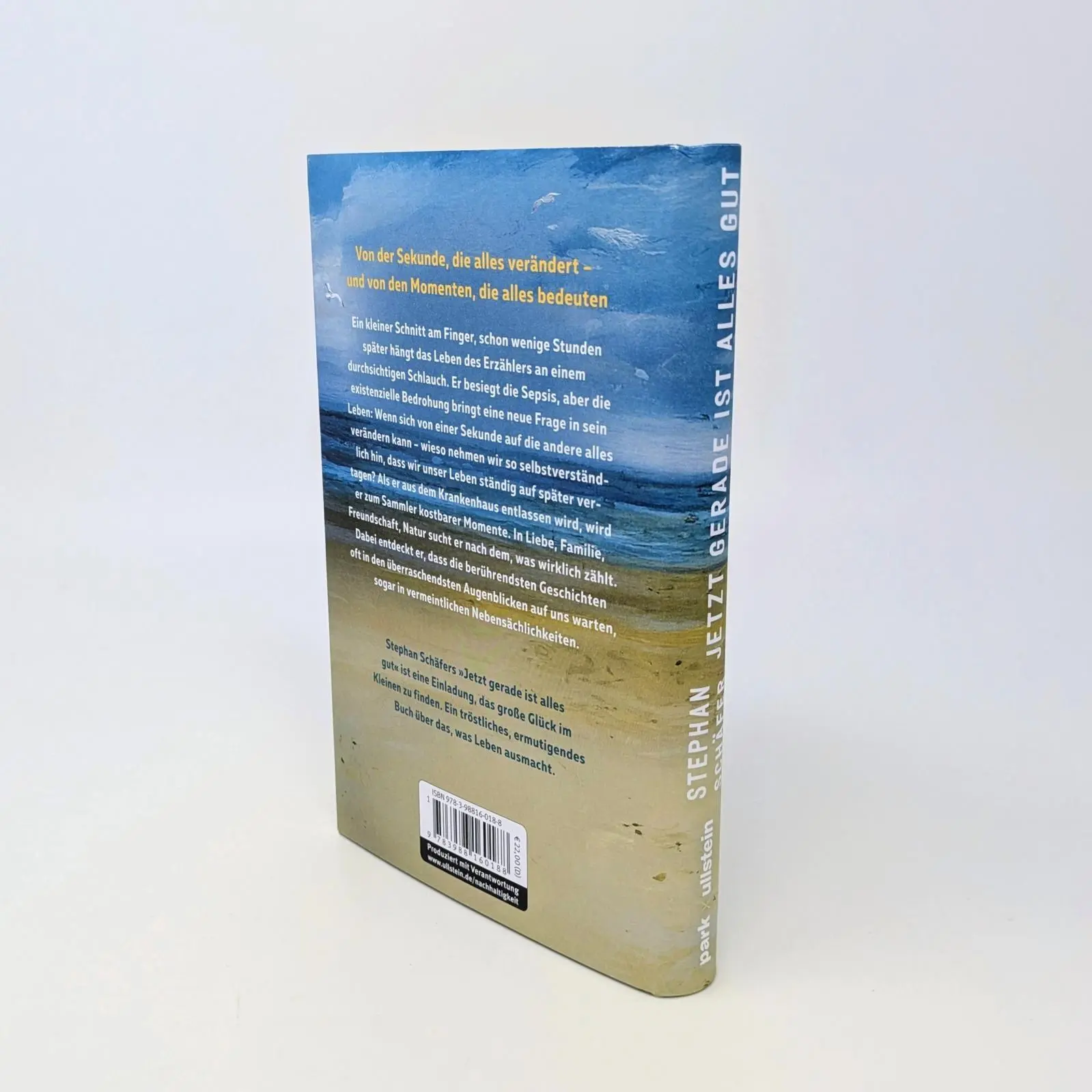 Bild: 9783988160188 | Jetzt gerade ist alles gut | Stephan Schäfer | Buch | 176 S. | Deutsch