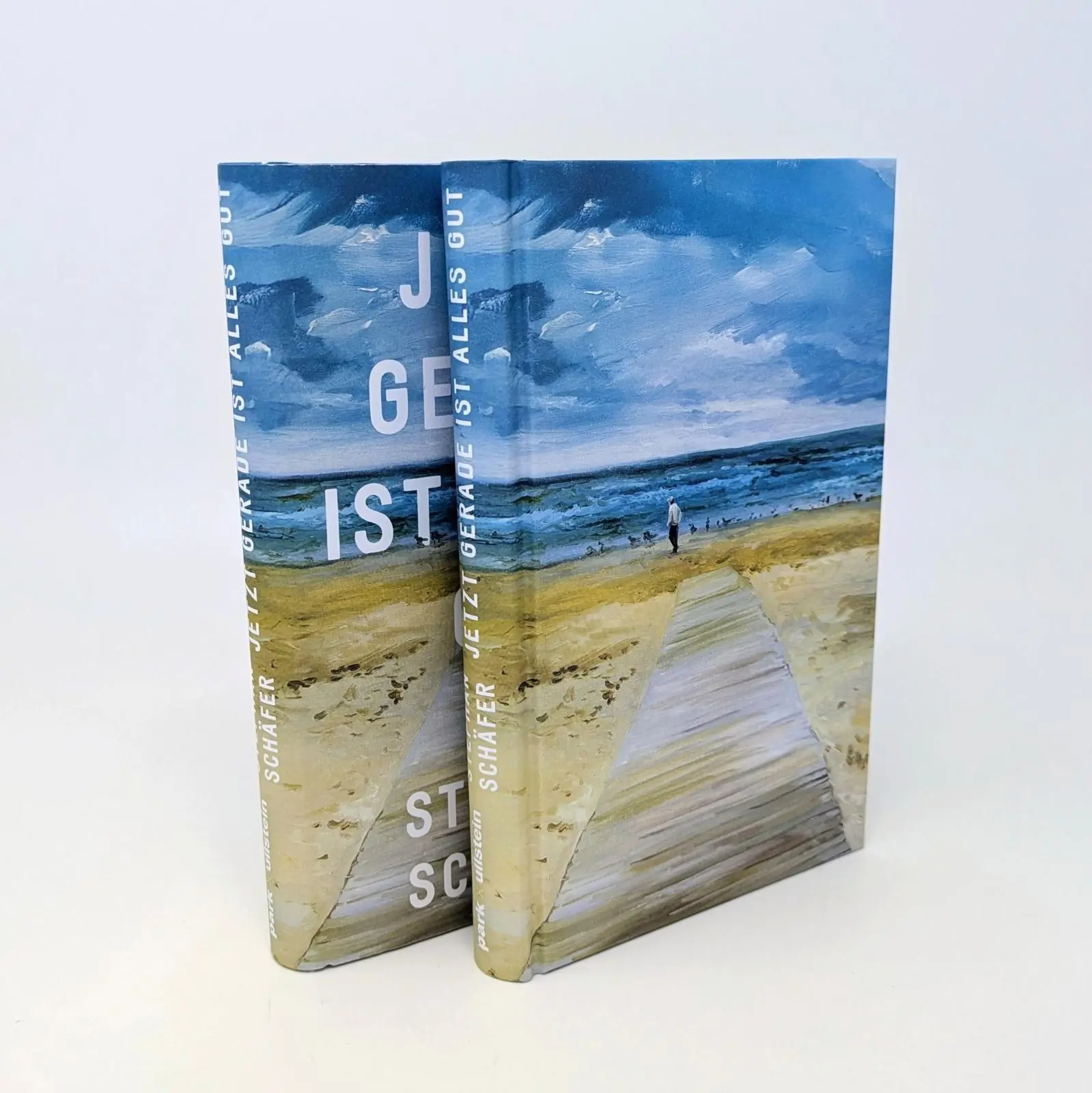 Bild: 9783988160188 | Jetzt gerade ist alles gut | Stephan Schäfer | Buch | 176 S. | Deutsch