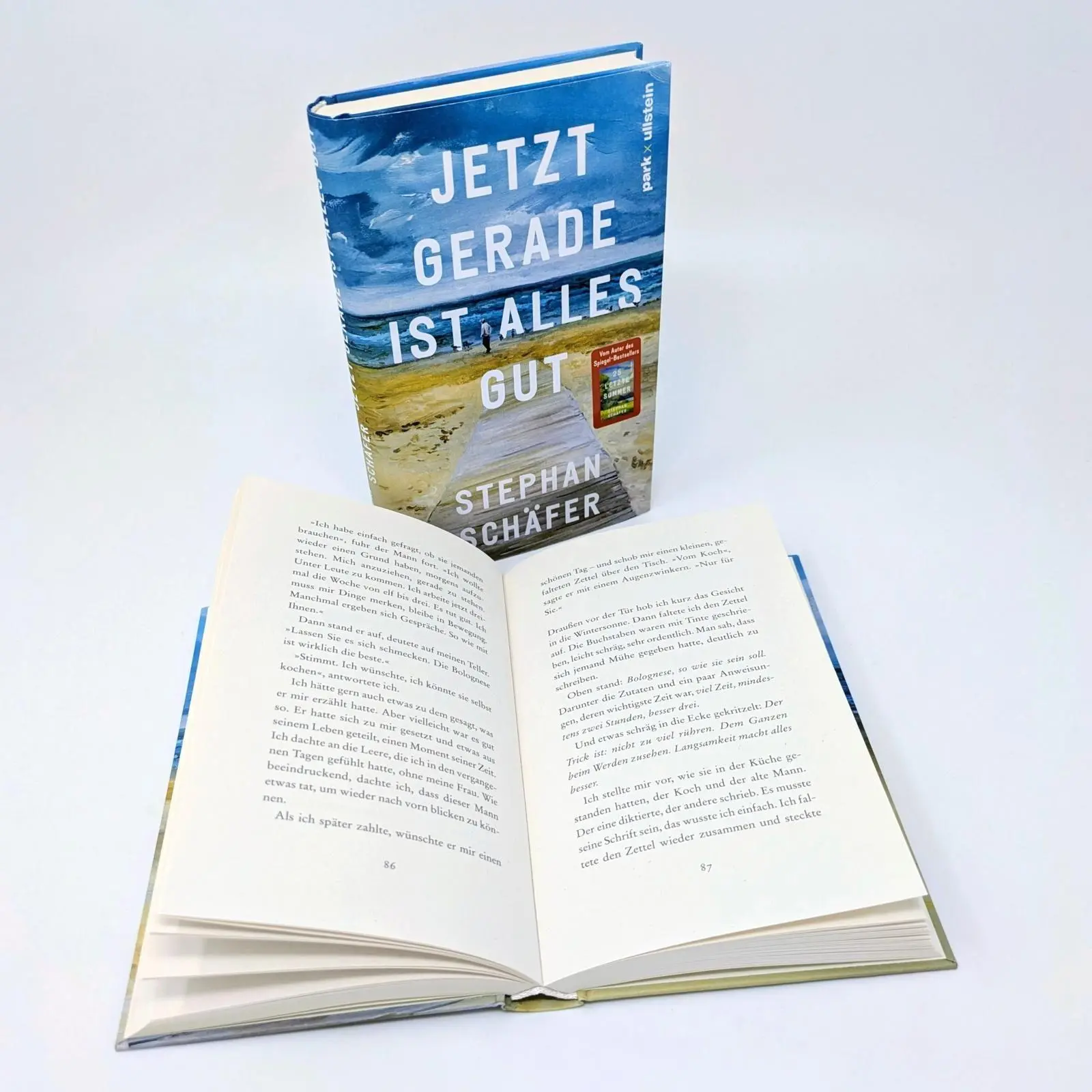 Bild: 9783988160188 | Jetzt gerade ist alles gut | Stephan Schäfer | Buch | 176 S. | Deutsch