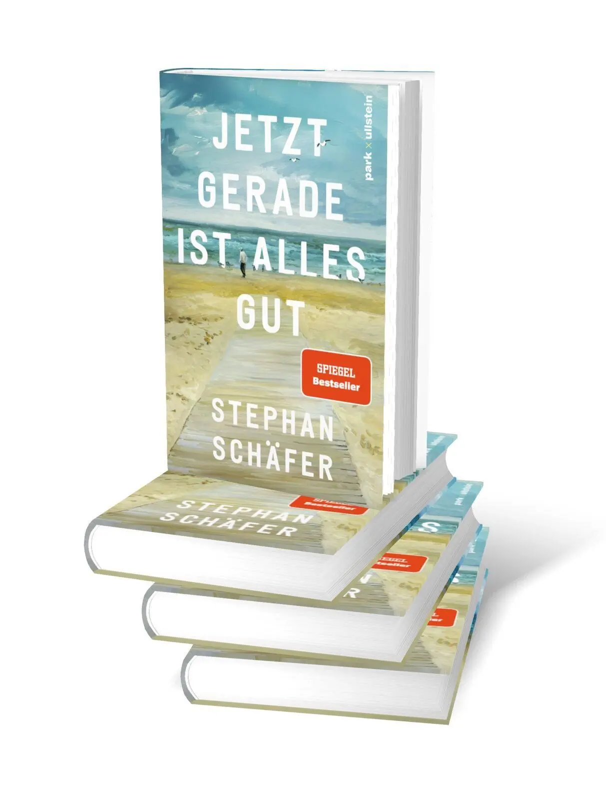 Bild: 9783988160188 | Jetzt gerade ist alles gut | Stephan Schäfer | Buch | 176 S. | Deutsch