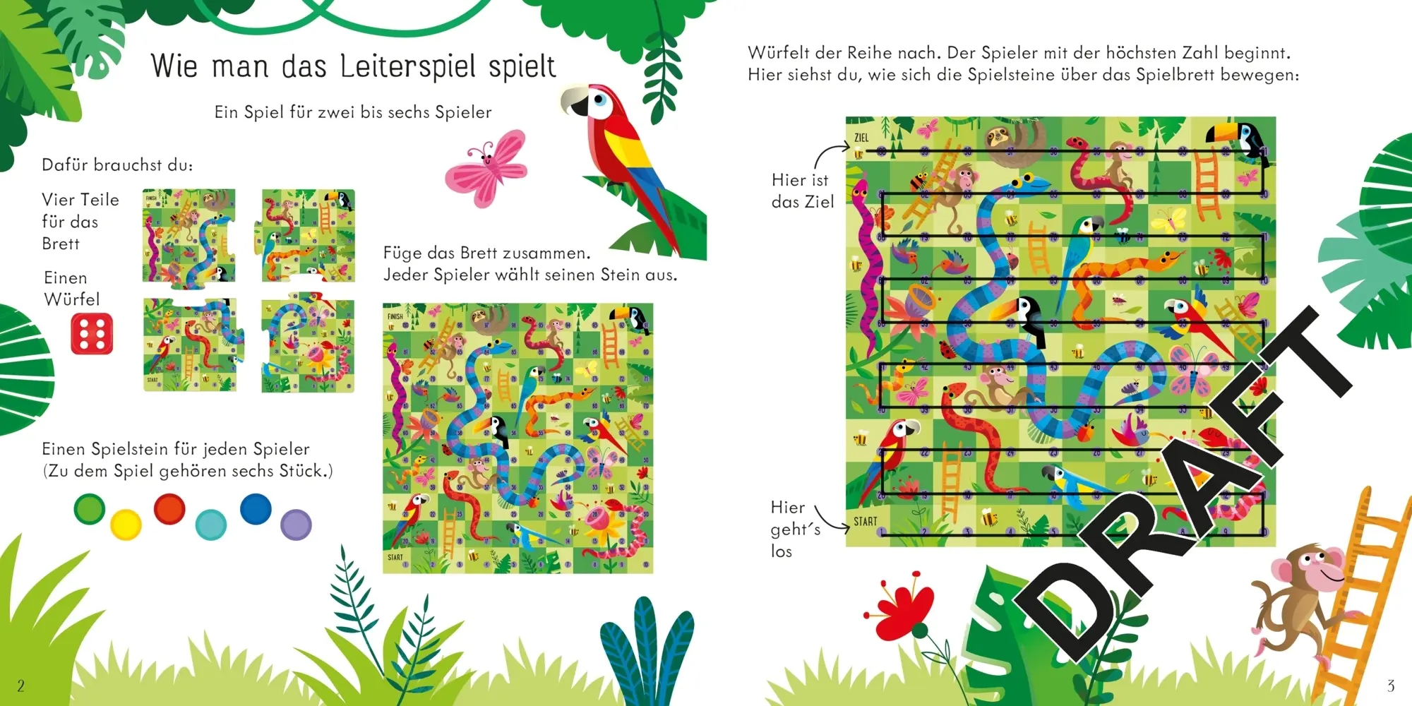Bild: 9781035700288 | Leiterspiel: Wettlauf durch den Dschungel | Kate Nolan | Spiel | 12 S.