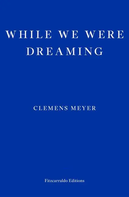 Cover: 9781804270288 | While We Were Dreaming | Clemens Meyer | Taschenbuch | 608 S. | 2023
