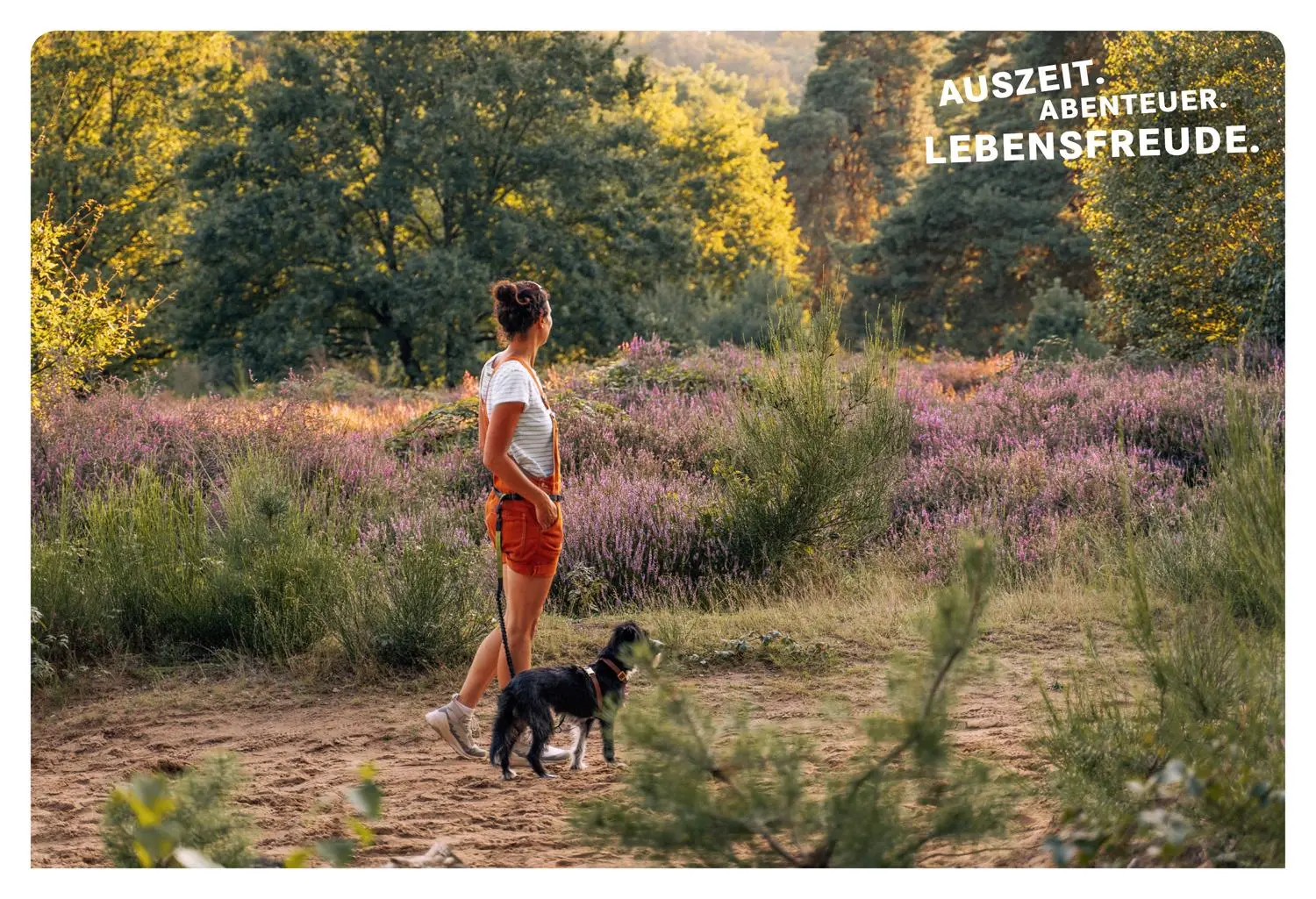 Bild: 9783616110288 | 52 kleine &amp; große Eskapaden am Mittelrhein | Ab nach draußen! | Buch
