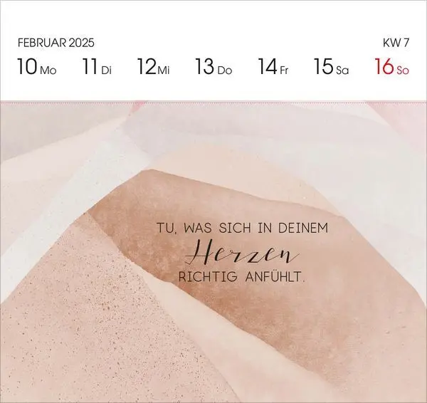 Bild: 9783731880288 | Plan it 2025 | Korsch Verlag | Kalender | Spiralbindung | 54 S. | 2025