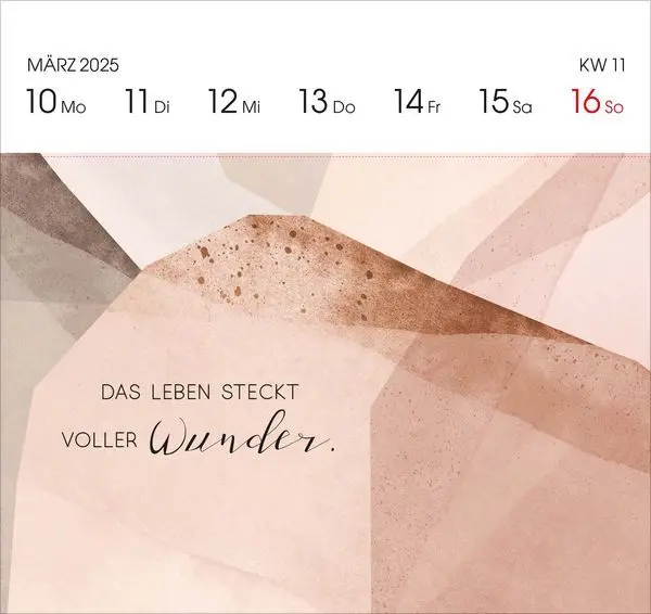 Bild: 9783731880288 | Plan it 2025 | Korsch Verlag | Kalender | Spiralbindung | 54 S. | 2025