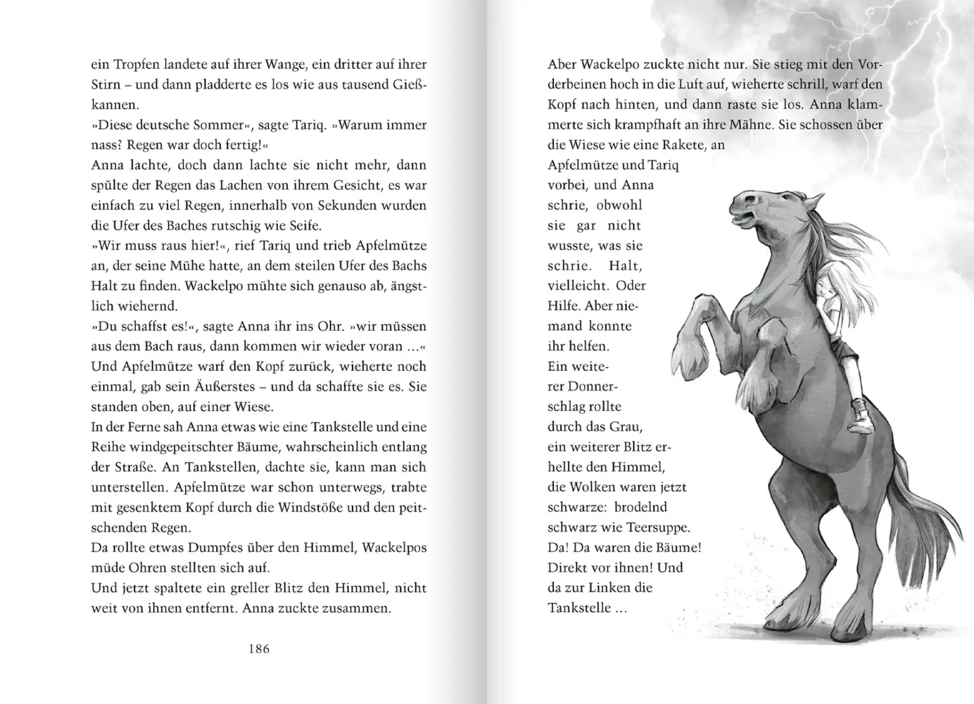 Bild: 9783751200288 | Manchmal muss man Pferde stehlen | Antonia Michaelis | Buch | 285 S.