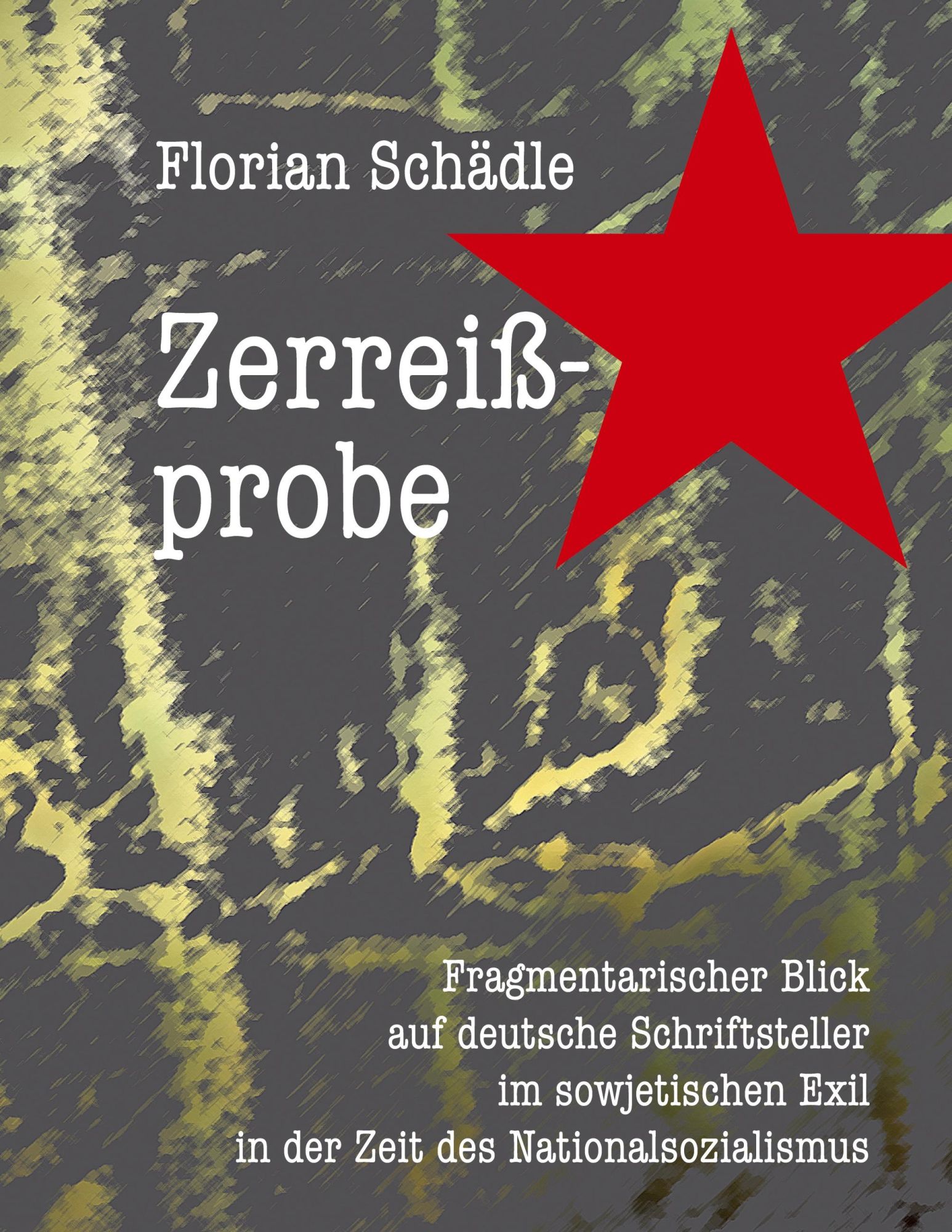 Cover: 9783759770288 | Zerreißprobe | Florian Schädle | Taschenbuch | Paperback | 364 S.