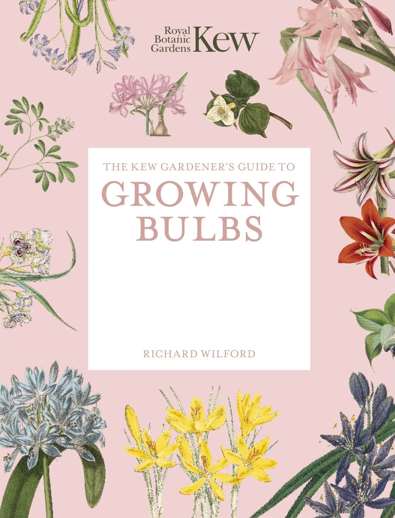 Cover: 9781805700388 | The Kew Gardener's Guide to Growing Bulbs | Paperback reissue | Buch