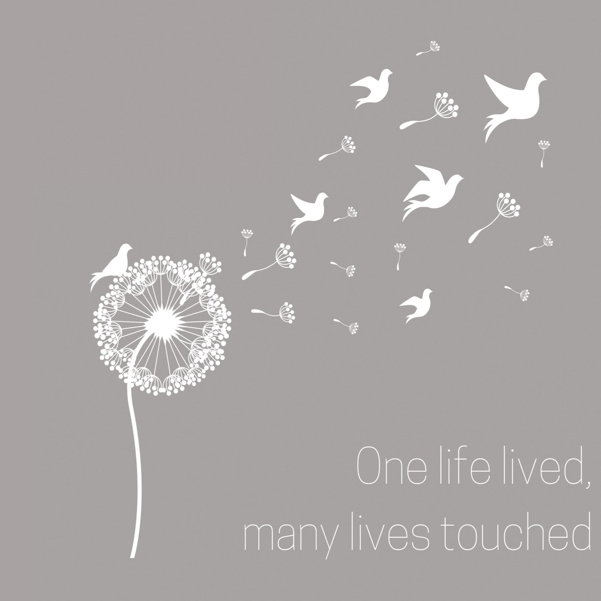 Cover: 9781839900488 | Condolence book to sign (Hardback cover) | Lulu And Bell | Buch | 2020
