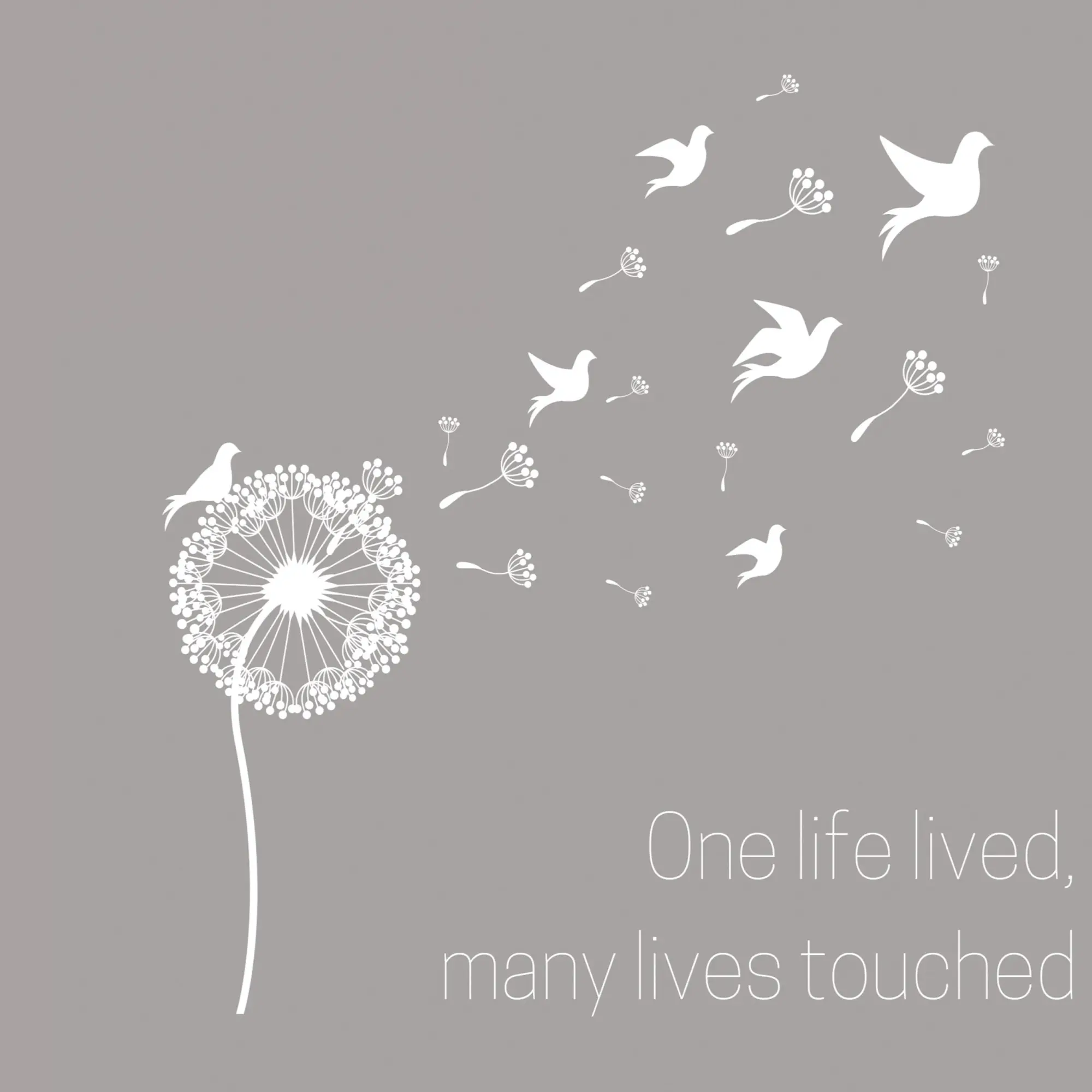 Cover: 9781839900488 | Condolence book to sign (Hardback cover) | Lulu And Bell | Buch | 2020