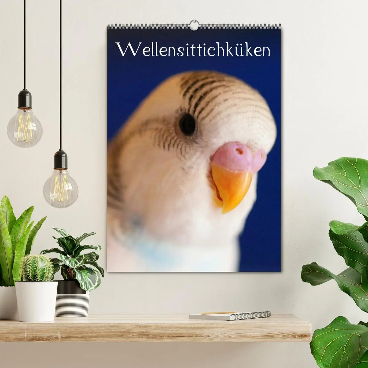 Bild: 9783516410488 | Wellensittichküken (Wandkalender 2026 DIN A2 hoch), CALVENDO...