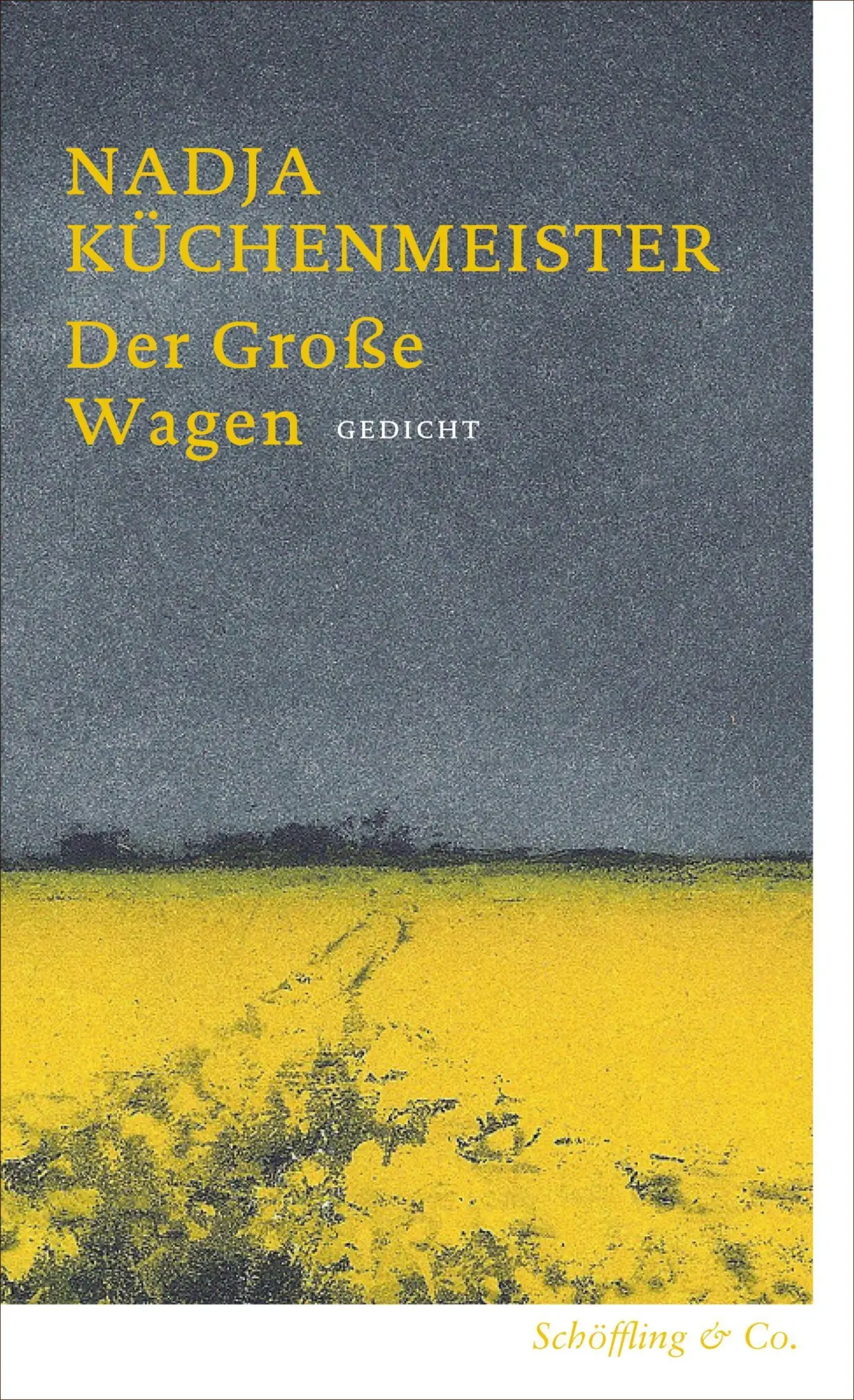 Cover: 9783690970488 | Der Große Wagen | Gedicht | Nadja Küchenmeister | Taschenbuch | 96 S.
