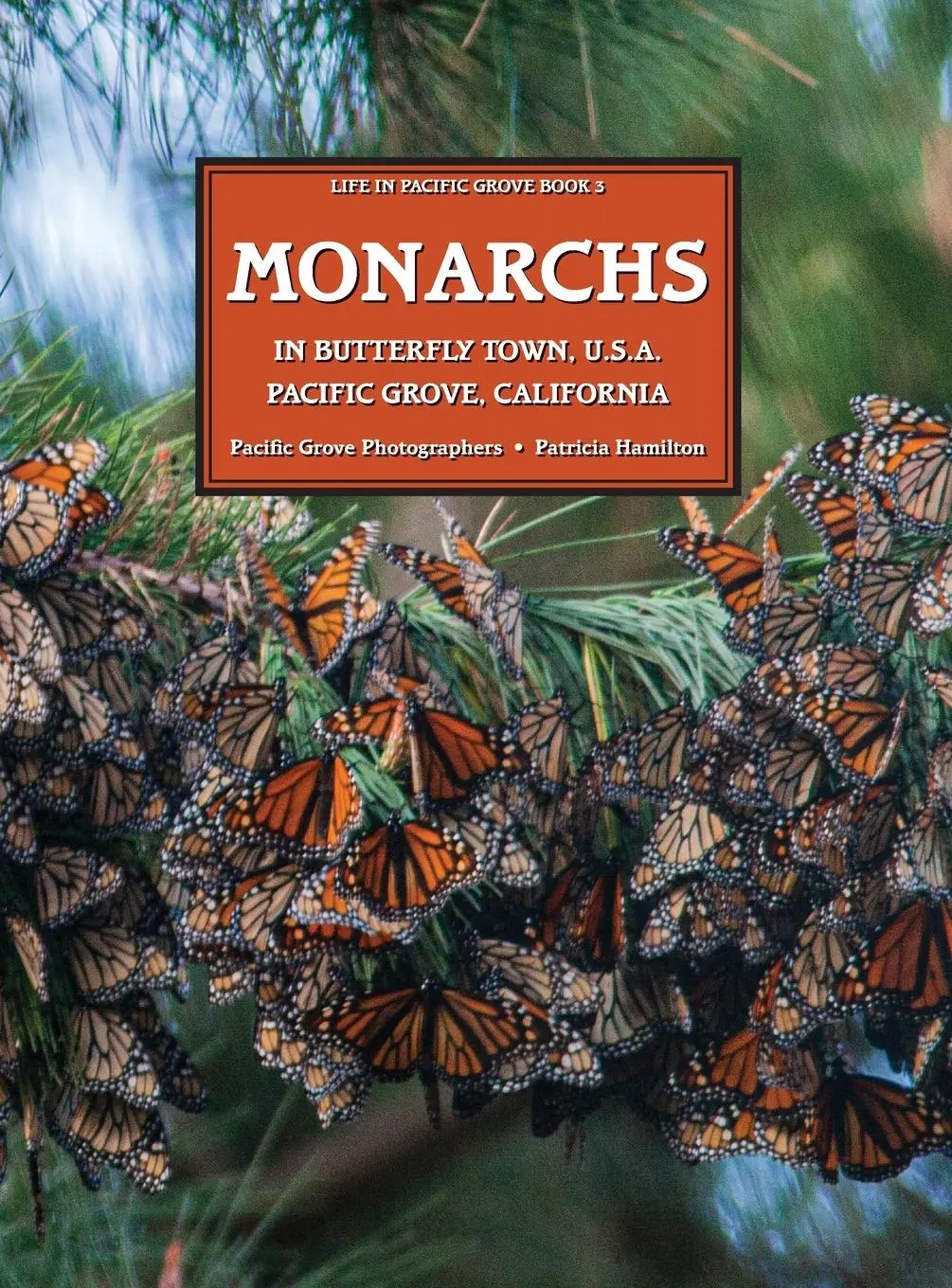 Cover: 9781953120588 | MONARCHS In Butterfly Town U.S.A., Pacific Grove, California | Buch